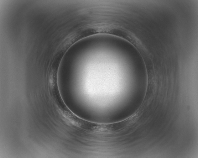 X0000080790074200612151506