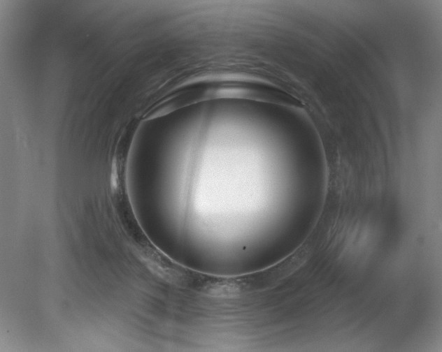 X0000080790075200612151506