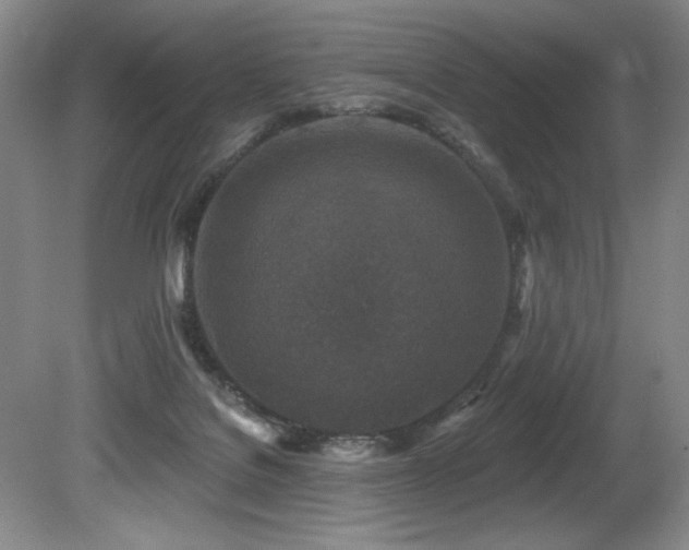 X0000080790076200612151506