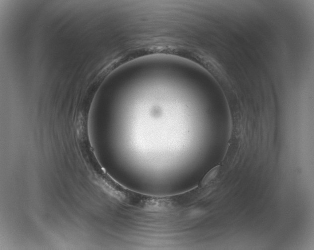X0000080790077200612151506