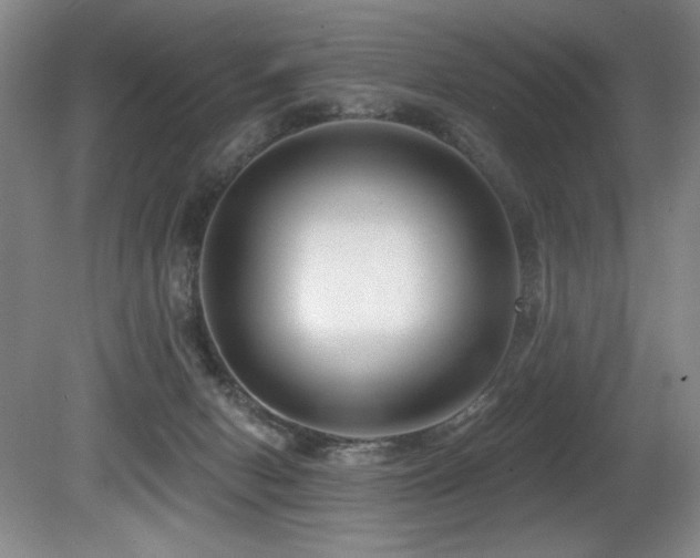 X0000080790078200612151506