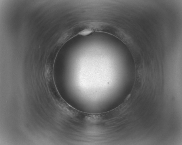X0000080790079200612151506