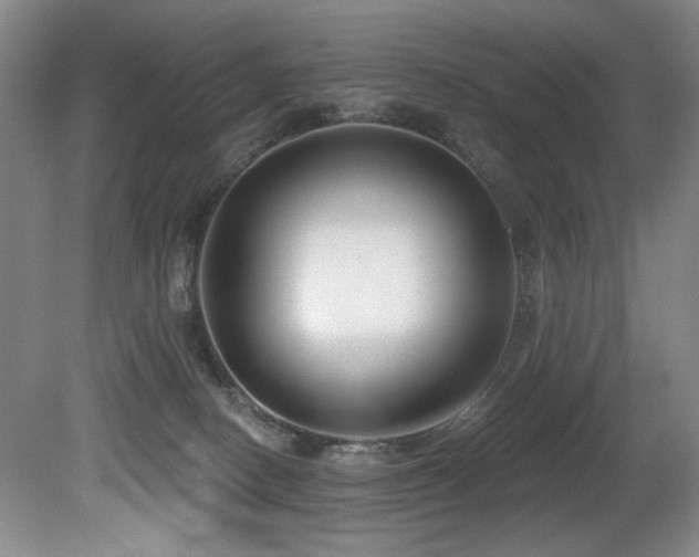 X0000080790082200612151506