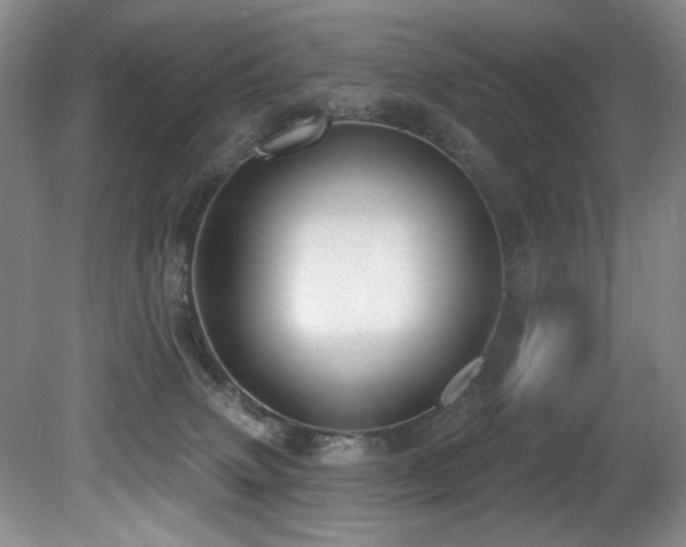X0000080790083200612151506