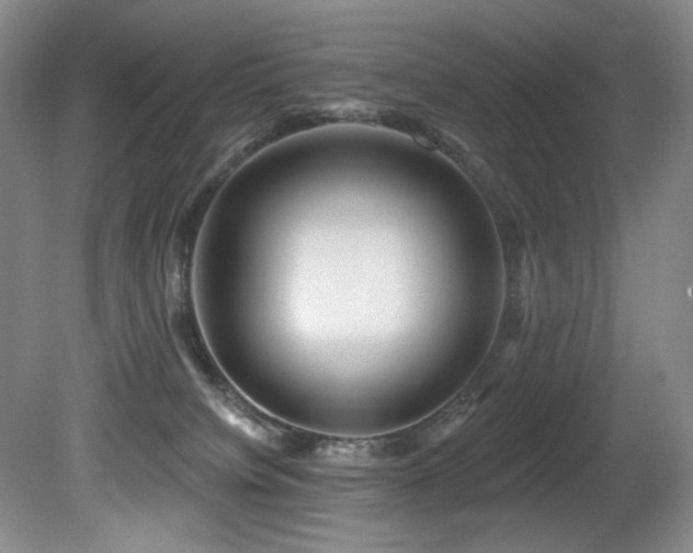 X0000080790084200612151506