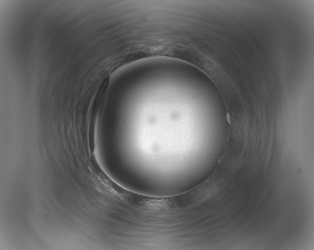 X0000080790085200612151506