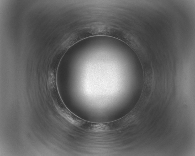 X0000080790087200612151506