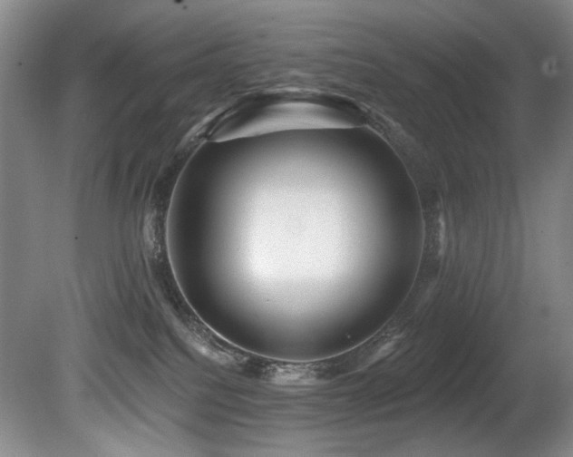 X0000080790088200612151506