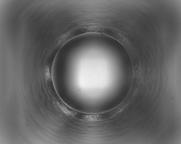 X0000080790089200612151506
