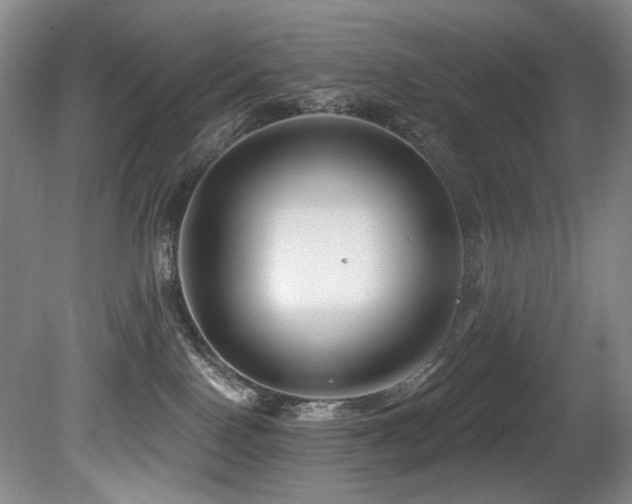 X0000080790090200612151506