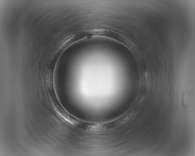 X0000080790092200612151506