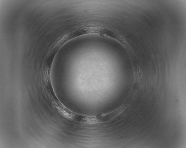 X0000080790093200612151506