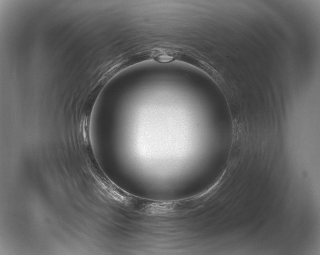 X0000080790094200612151506