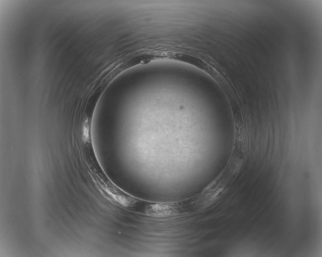X0000080790095200612151506