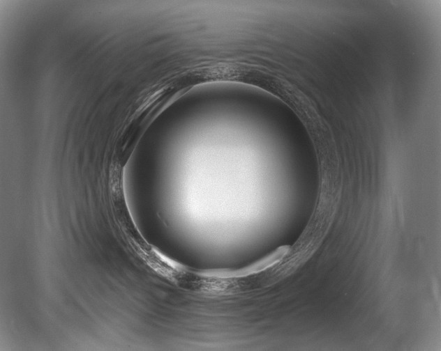 X0000080790096200612151506