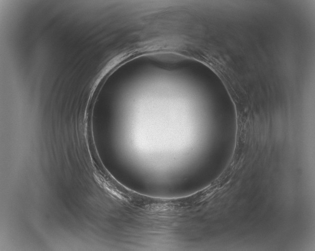 X0000080790100200612151505
