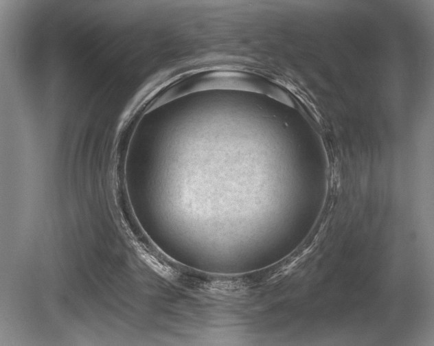 X0000080790101200612151505