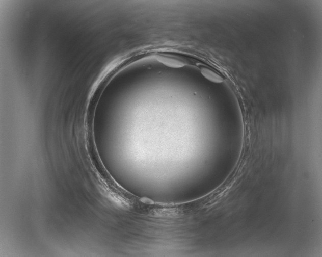 X0000080790102200612151505