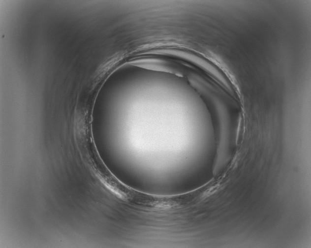 X0000080790105200612151505