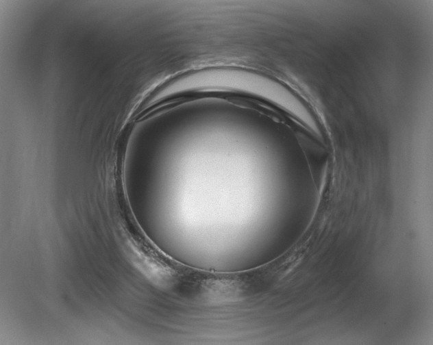 X0000080790107200612151505