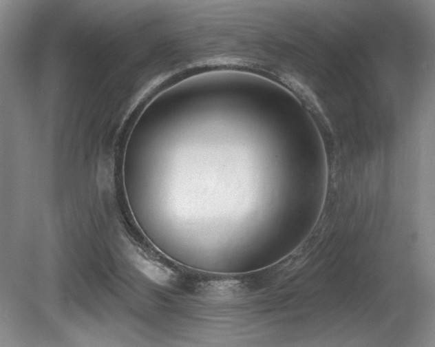 X0000080790108200612151505