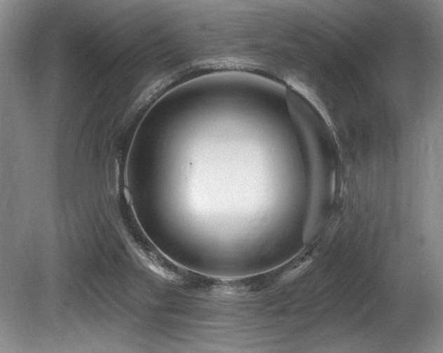 X0000080790109200612151505