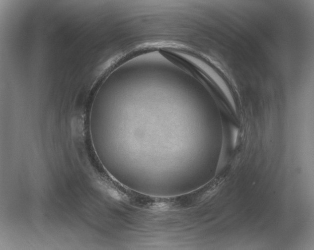 X0000080790111200612151505