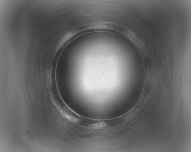 X0000080790112200612151505