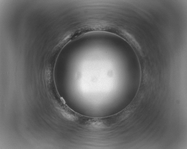 X0000080790113200612151505