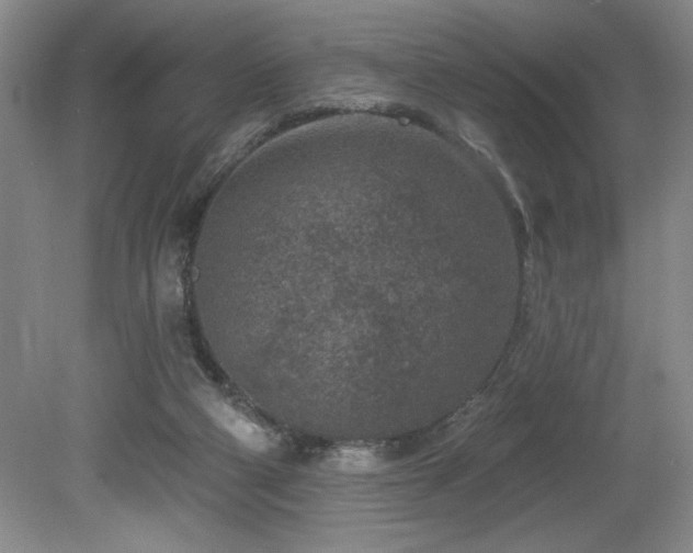 X0000080790114200612151505