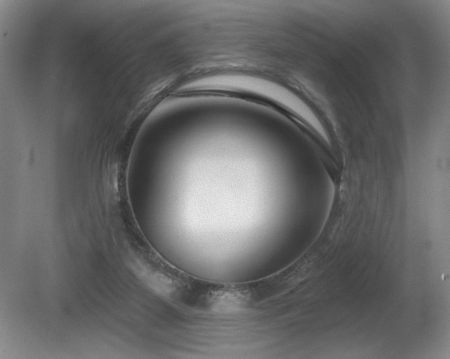 X0000080790115200612151505