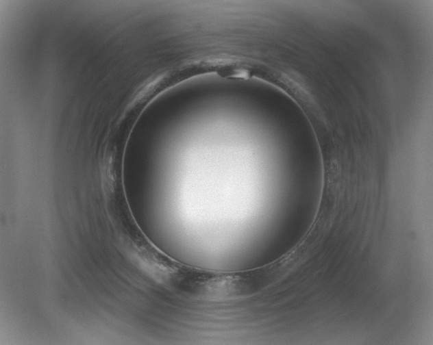 X0000080790116200612151505