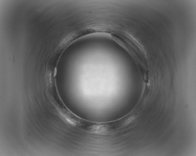 X0000080790117200612151505