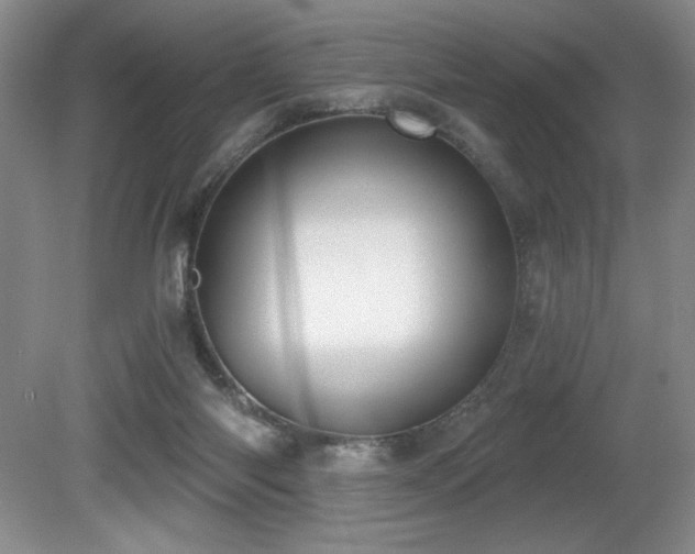 X0000080790118200612151505