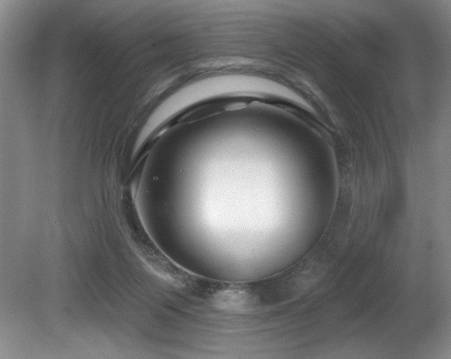 X0000080790119200612151505