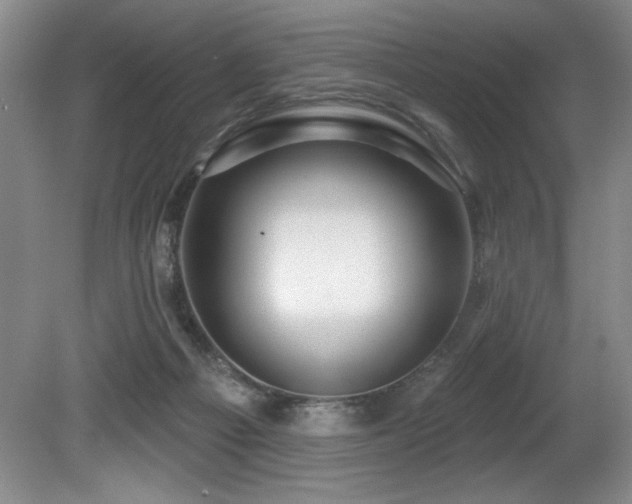 X0000080790121200612151505