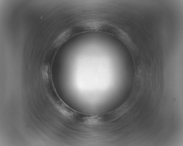 X0000080790122200612151505