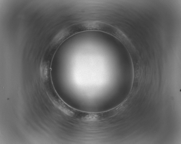 X0000080790124200612151505
