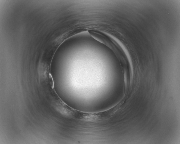 X0000080790125200612151505