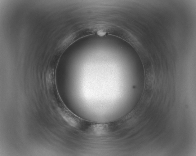 X0000080790126200612151505