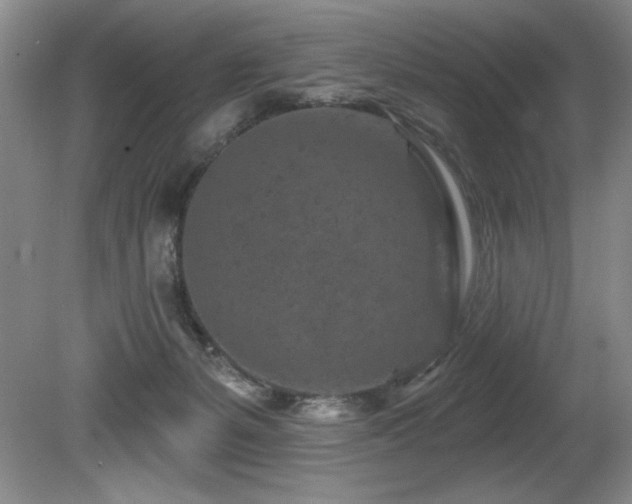 X0000080790127200612151505
