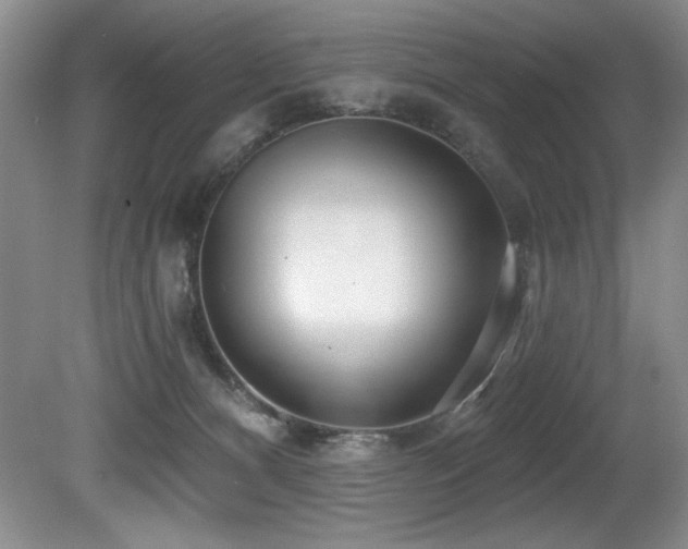 X0000080790128200612151505