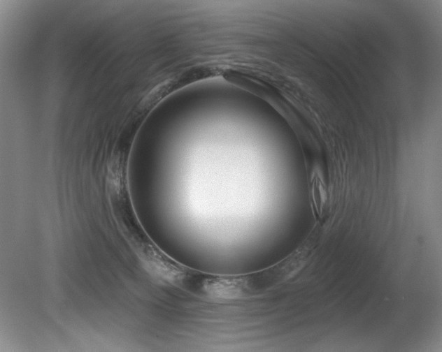 X0000080790129200612151505