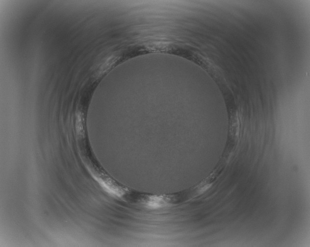 X0000080790130200612151505