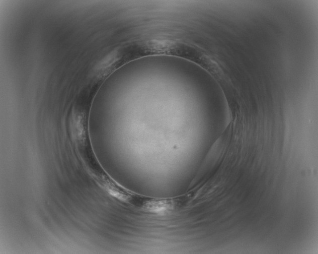 X0000080790131200612151505