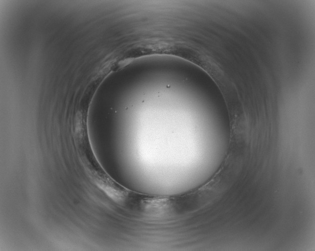 X0000080790132200612151505