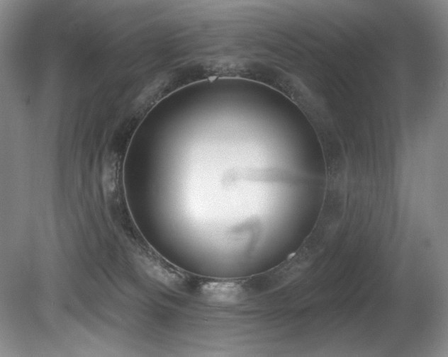 X0000080790133200612151504