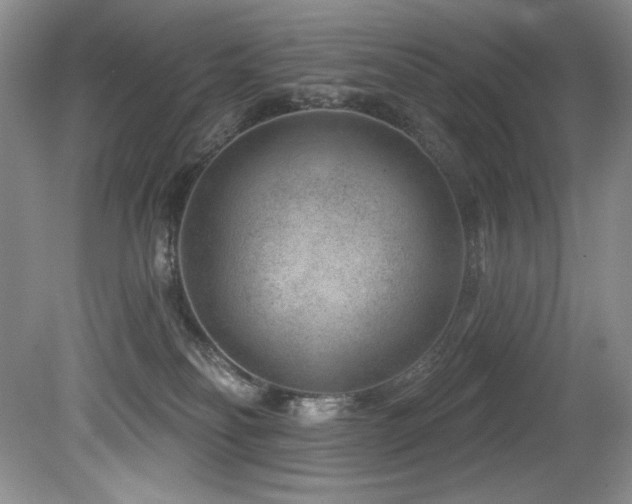 X0000080790134200612151504
