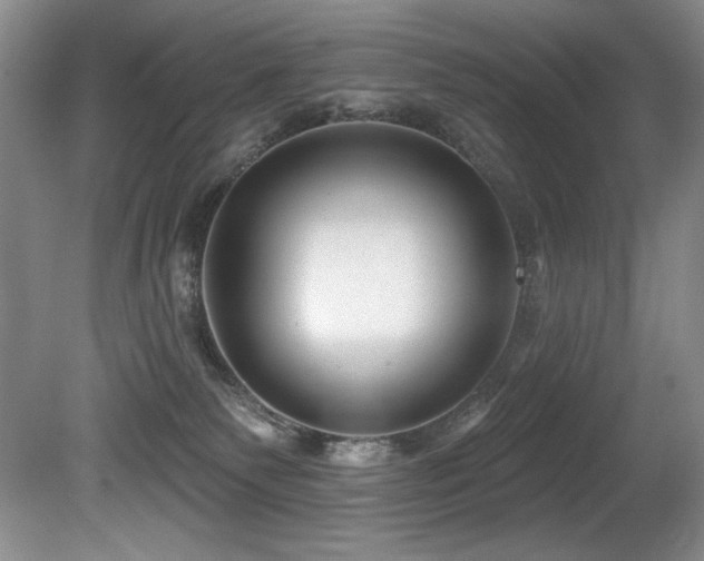 X0000080790135200612151504