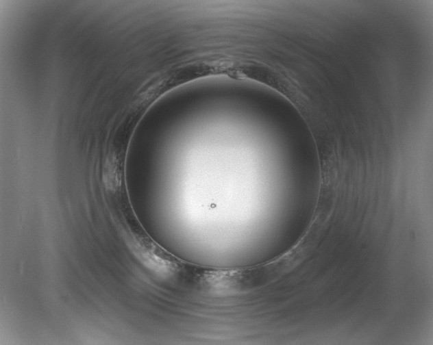 X0000080790136200612151504